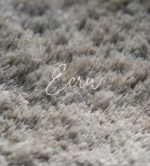 Carpet Dive Ecru