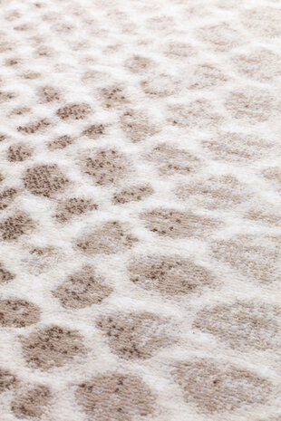 Carpet Preston 