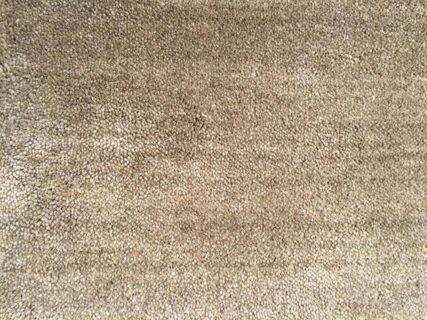 Carpet Leaka